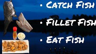 Easy Catfish Filleting: Beginner's Guide with Backcountry Basics