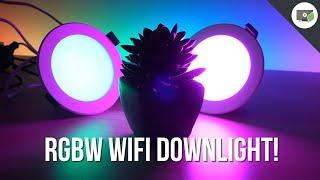 RGBW Wifi Downlight with Australian Approvals | Zemismart Smart Downlight Review