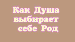 Как Душа выбирает себе Род. Задачи Рода и Души воплощённой