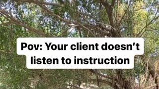 YOUR CLIENT DOES NOT LISTEN TO INSTRUCTIONS (/ LAYIWASABI