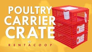 RentACoop Poultry Carrier Crate 29" L x 22" W x 12" H for Chickens with Attachment Capable Ports