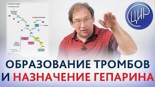 Образование тромба, гемостаз, гепарин и профилактика осложнений во время беременности. Гузов И.И.