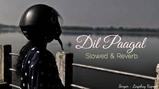 DIL PAAGAL - (Slowed + Reverb) | Laqshay Kapoor | Lofi Song | Use Earphone #song #lofi