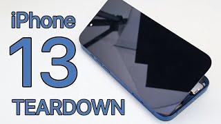 iPhone 13 Teardown - Full Disassembly