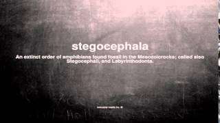 What does stegocephala mean