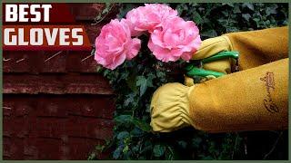 Best Gloves For Pruning Roses And Other Thorn Bushes 2023 - You Can Buy