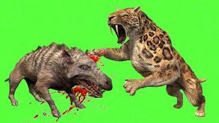 Animal Sound on Green Screen Video - Prehistoric Animals