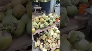 Kelapa di pedesaan#vlog #pedesaan #shorts #short