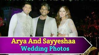 Arya And Sayyeshaa Wedding Photos | South stars wedding videos | Tollyticket