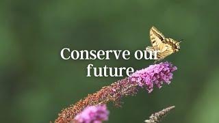 Secure the future of the natural world’s tomorrow by surveying wildlife today.