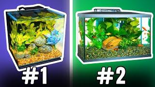 Here are the BEST 10 Gallon Fish Tanks...