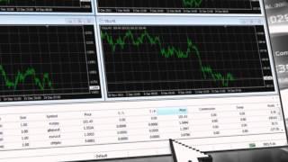 MetaTrader 4: Terminal