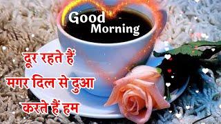 Good morning shayari video गुड मॉर्निंग शायरी good morning statusGood morning wishes Photos