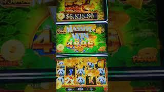 Big Wins Small Bets Panda Slot Ru Yi Wheel at Yaamava Casino #shorts #casino #slots