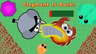 Mope.io ELEPHANT IS BACK!!! Epic Trolling Kills And Fails! (Mope.io Gameplay)