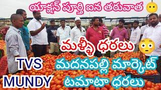 05/03/25 Madanapalle Tomato Market Price Today || Today Tomato Market Rate In Madanapalle #today