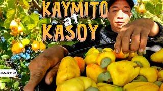 P2 - Kaymito at Kasoy sa Meryenda - EP1735