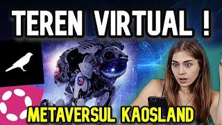 Teren virtual în Metaversul KaosLand de pe Bitcountry !