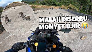 DIS3RANG MONYET PAS RIDING DI LOMBOK⁉️