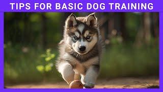 Unleash Your Dog's Potential: Fun Training Tips for a Pawsome Pup!