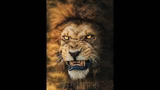 World Famous Top Lion King Pictures || animals Pic || Lion King Pictures || #short #trending #fypシ