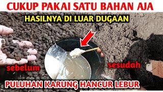 Hasilnya sangat luar biasa..!! Cara Fermentasi kohe kambing dengan cepat