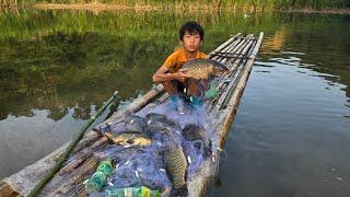 fishing skills, net full of fish, harvesting fish for sale, highland boy khai