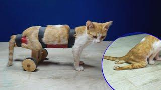 How to make a wheelchair for a paralyzed cat-كيفية صنع كرسي متحرك لقط مشلول