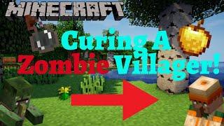 Curing A Zombie Villager in Minecraft! (EPIC)