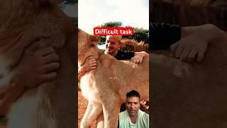 Difficult task #shorts #animals #youtubeshorts