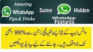 Whatsapp 2 Most Important But Hidden Features [Technical Ustad]