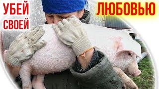 ТРАГЕДИЯ В ХОЗЯЙСТВЕ | ЧЕМ НЕЛЬЗЯ КОРМИТЬ СВИНЕЙ | НАСЛЕДИЕ