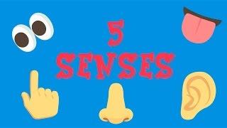 Five Senses -  Can you?