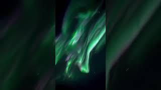 Northern Light in real time #shorts #shortsvideo #nothernlights #viral #spaceslice