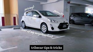 tribecar tips + tour of my neighbourhood