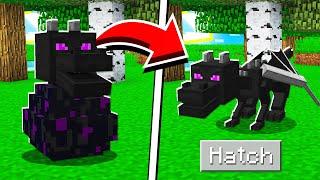 How to HATCH the ENDER DRAGON EGG in Minecraft Tutorial!