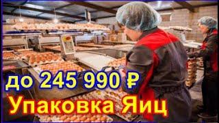 РАБОТА В МОСКВЕ - ВАХТОВЫЙ МЕТОД, УПАКОВЩИК ЯЙЦ С ПРОЖИВАНИЕМ И ПИТАНИЕ СВЕЖИЕ ВАКАНСИЙ