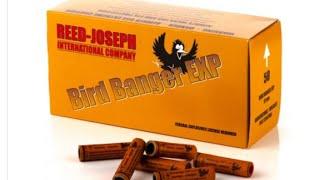 REED JOSEPH BIRD BANGERS EXP TOP VOGELSCHRECK BRUTAL LAUT