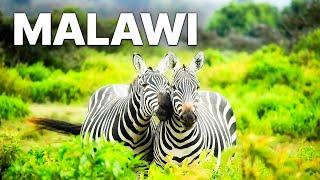 Malawi -  Land Of Plains And Highlands | Documentary