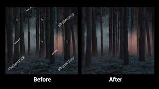 Remove Watermark in Adobe Photoshop - EZ