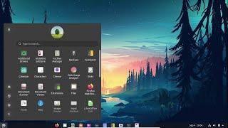 Customize GNOME Desktop (ubuntu 20.04+dash to panel+arc menu)