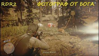 RDR2. Идиллия для дилетантов. Квесты незнакомцев. Кратко.Все части. #BigSteve