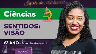 Sentidos: visão – Ciências – 6º ano – Ensino Fundamental