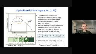 Multiscale simulations of biomolecular phase separation