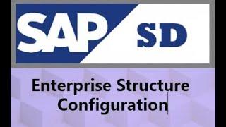 SAP SD Enterprise Structure Configuration -- Class 02
