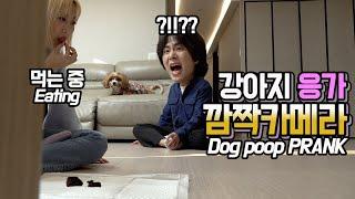 SUB) 돌아온헤각장 여친이 눈앞에서 갑자기 개똥을 먹는다면?!ㅋㅋㅋㅋ Giving dog poo on Valentine's Day.