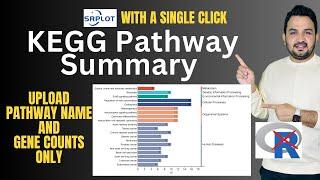 How to create a KEGG pathway summary plot?