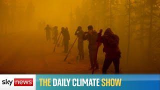 The Daily Climate Show: How much carbon do wildfires release?