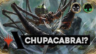 SKYFISHER SPIDER Golgari Midrange | Magic the Gathering: Arena Standard Deck