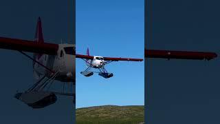 Air Tindi Turbo Otter coming in for a landing!